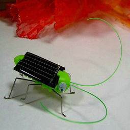 太陽能益智玩具螞蚱 集成電路設計賦能綠色童年